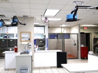 Intensive Care