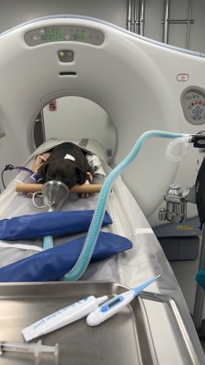 Computed Tomography