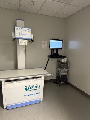 Radiology