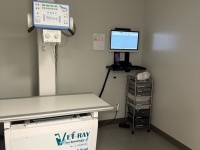 Radiology