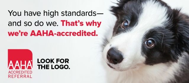 AA Accredited