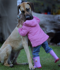 Large Dog
