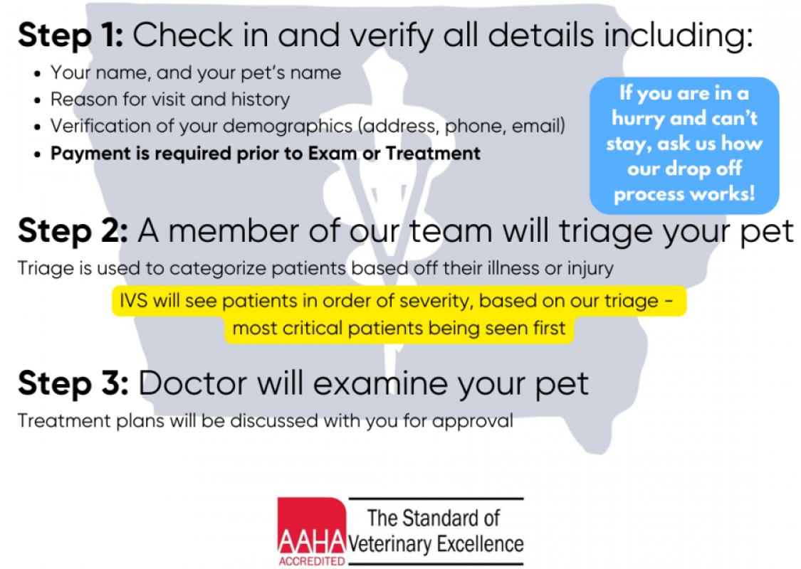 Check In Steps